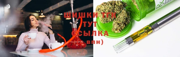 хмурый Белокуриха