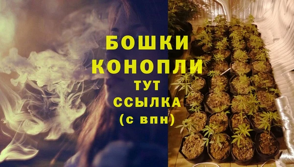 хмурый Белокуриха