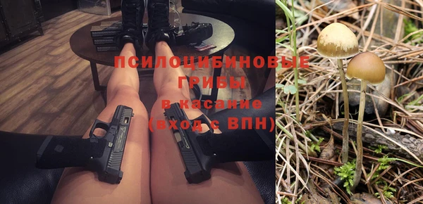 сатива Михайловка