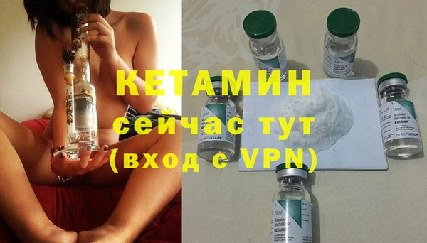 хмурый Белокуриха