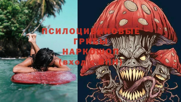 хмурый Белокуриха
