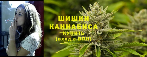 стаф Бугульма