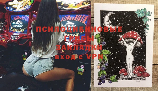прущая мука Богородск