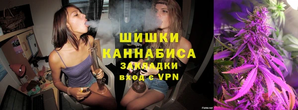 сатива Михайловка
